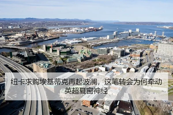 纽卡求购埃基蒂克再起波澜，这笔转会为何牵动英超夏窗神经 - FIFA World Cup 2026